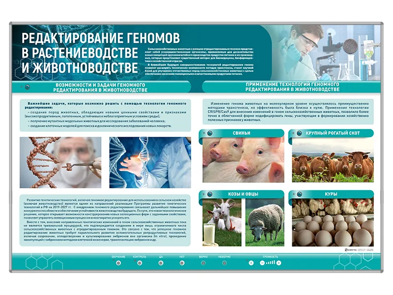 Стенд Зарница редактирование геномов
