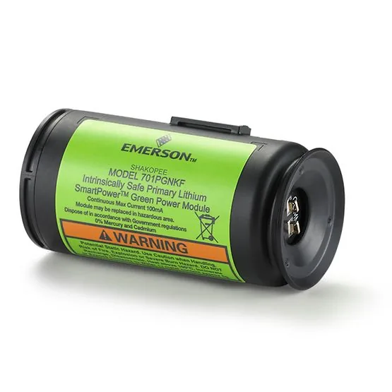 Модуль Emerson SmartPower 701P, цвет зеленый