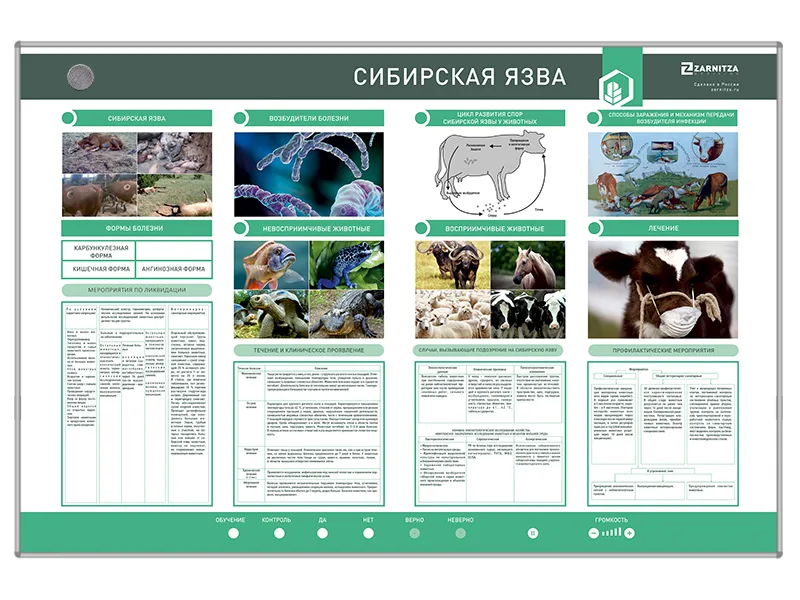Стенд Зарница сибирская язва